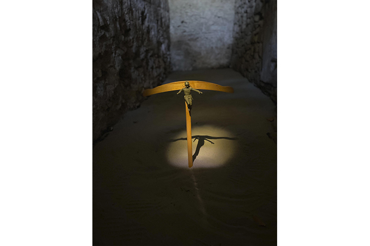 Ficola-Zorro_web_1